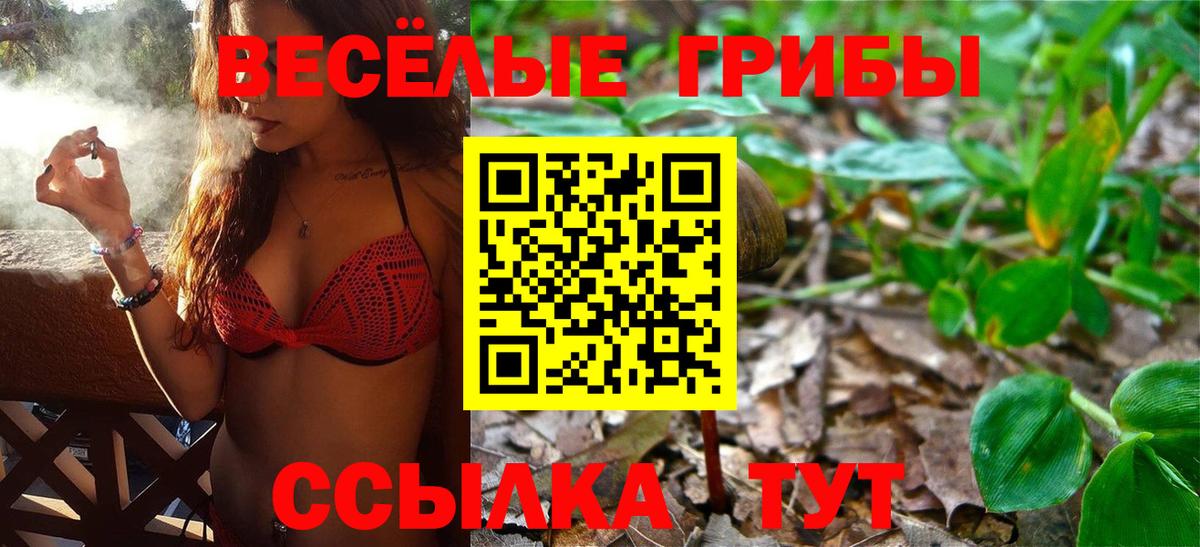 Псилоцибиновые грибы Psilocybine cubensis Михайловск