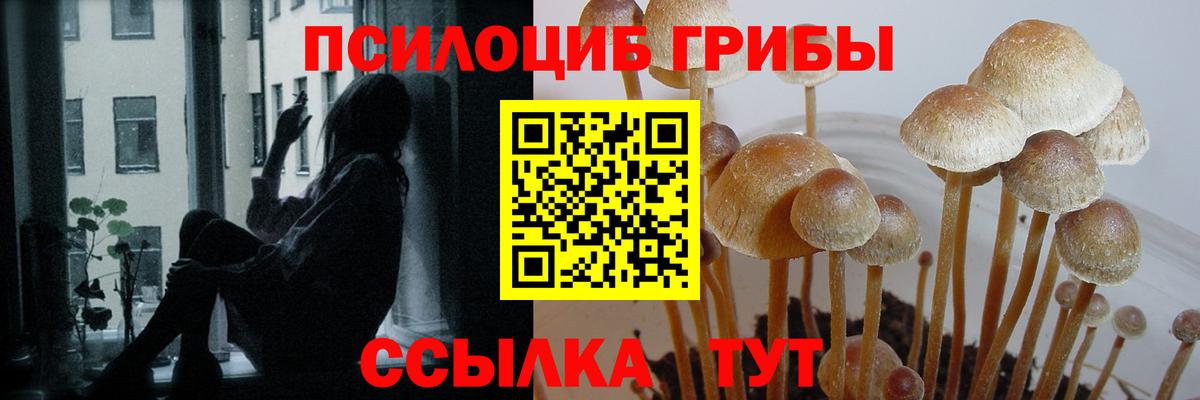 Михайловск  купить наркоту  Вход с VPN  Галлюциногенные грибы прущие грибы  Галлюциногенные грибы прущие грибы 